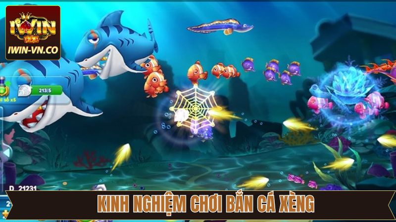 Chiến thuật chơi săn cá xèng bất bại thắng lớn 