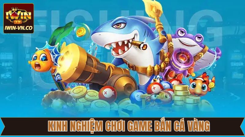 Kinh nghiệm chiến thuật hấp dẫn chiến thắng săn cá 
