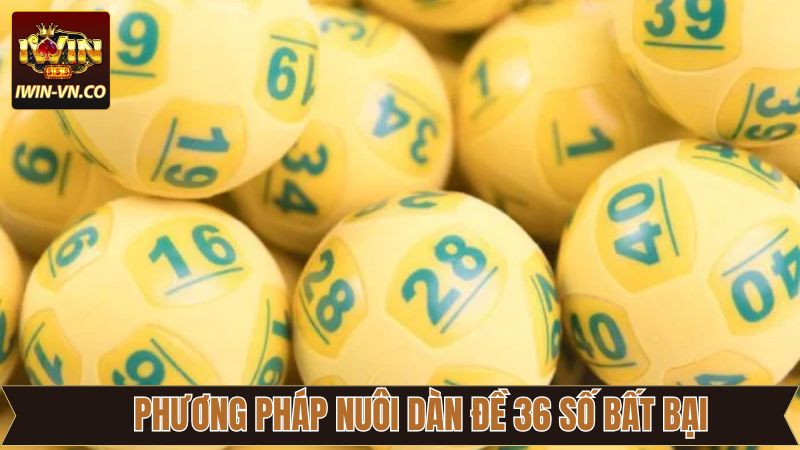 Tổng hợp những phương pháp nuôi dàn lô chuẩn bất bại
